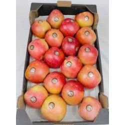  Manzana Fuji (CAJA) 50 unidade