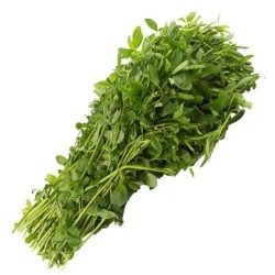 Chipilin  ( Manojo)