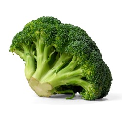 Brocoli (Unidad)