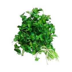 Cilantro ( Manojo)