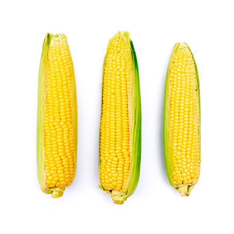 Elote (Bandeja)