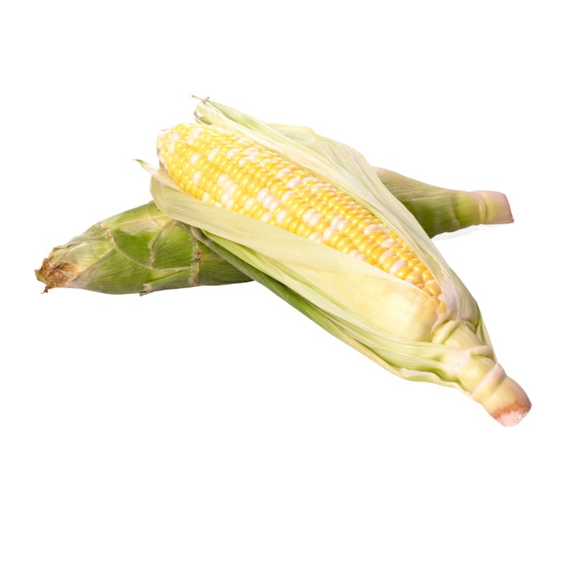 Elote Criollo (Unidad)