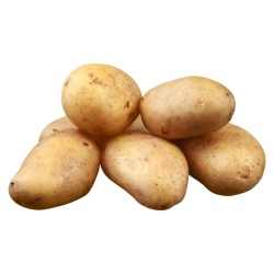 Papa (1.5 de Libra)