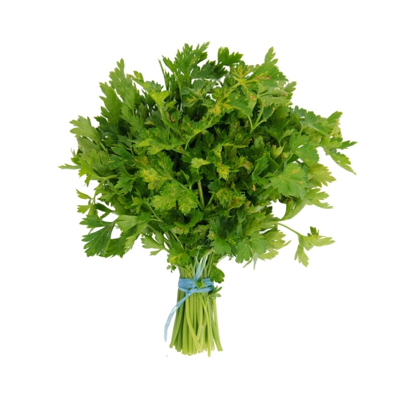 Perejil ( Manojo)
