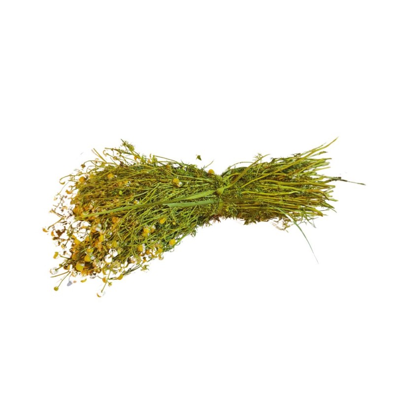 Manzanilla (Manojo)